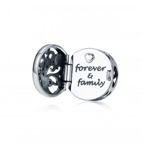 Silver Forever & Family Charm - PANDORA Style - SCC1259