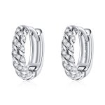 PANDORA Style Elegant Woman Hoop Earrings - BSE512