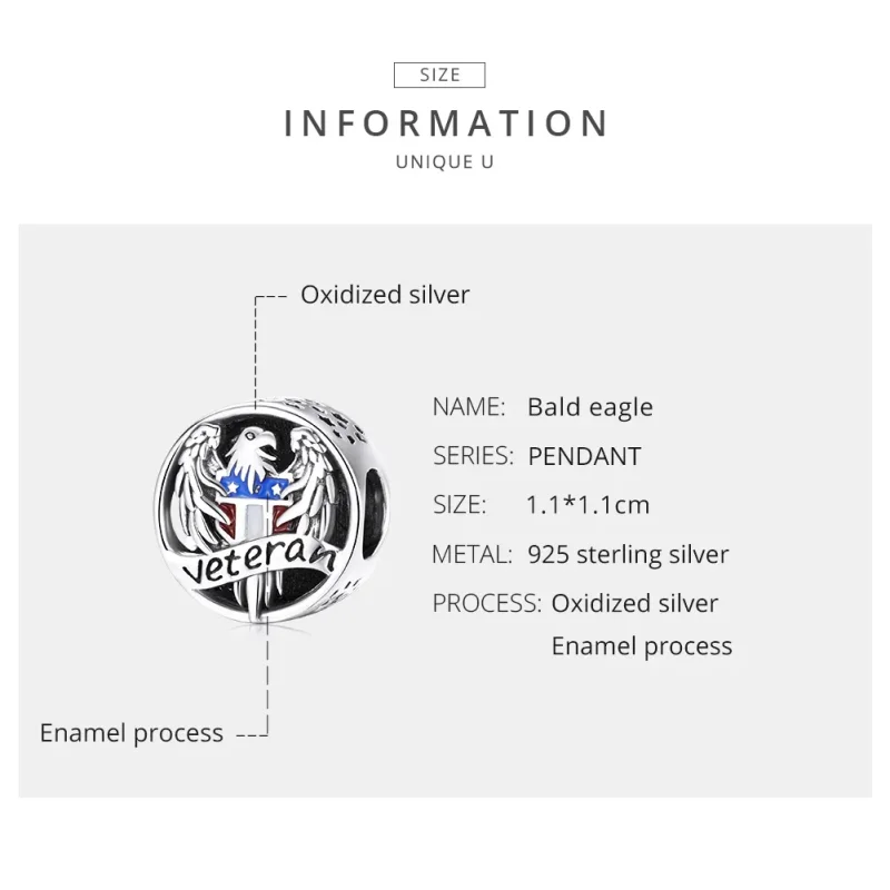 (image for) Pandora Style Silver Charm, Veteran, Multicolor Enamel - SCC1885 - View 7