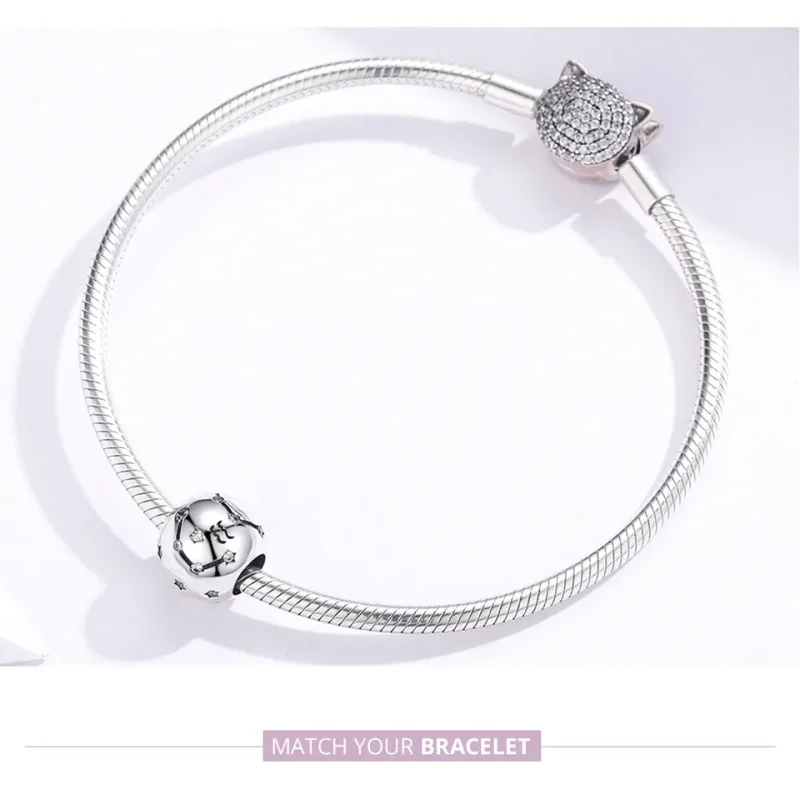 (image for) Silver Aquarius Charm - PANDORA Style - SCC1218-11 - View 5