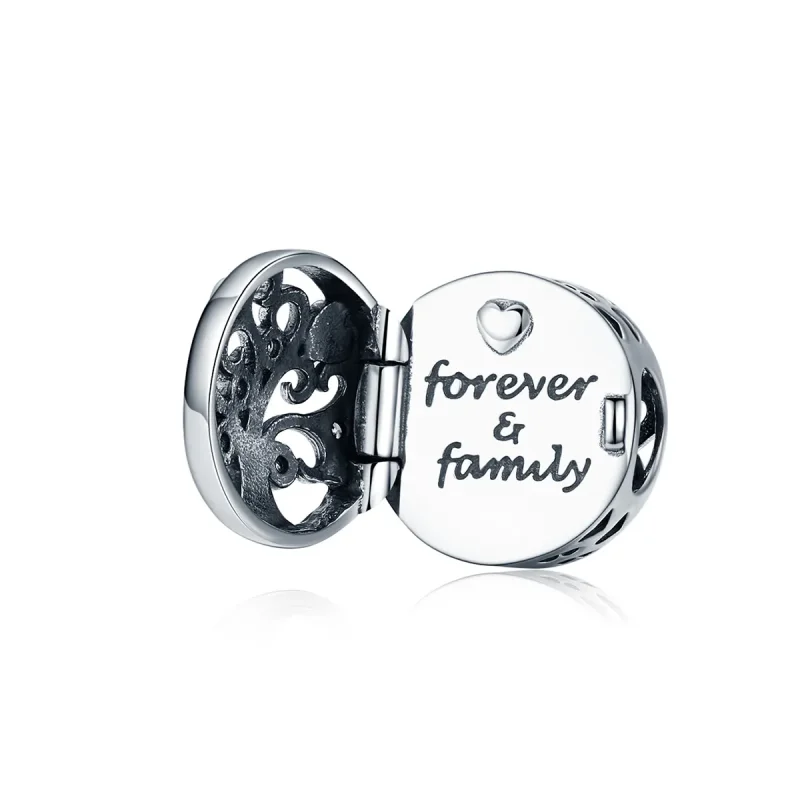 (image for) Silver Forever & Family Charm - PANDORA Style - SCC1259 - Product Image