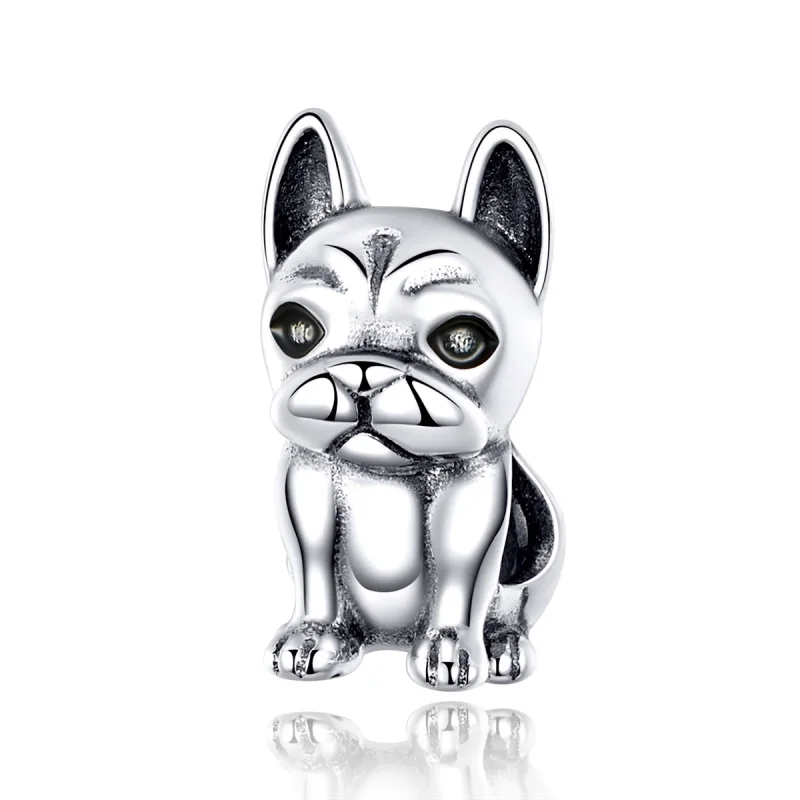 (image for) Silver French Bulldog Charm - PANDORA Style - SCC1306 - Product Image