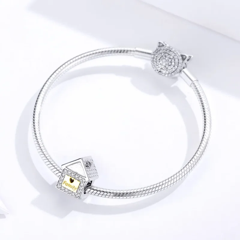 (image for) Two Tone Pandora Style Charm, Bicolor Forever Family - SCC1330 - View 3