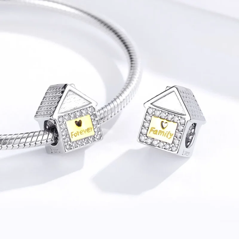 (image for) Two Tone Pandora Style Charm, Bicolor Forever Family - SCC1330 - View 4