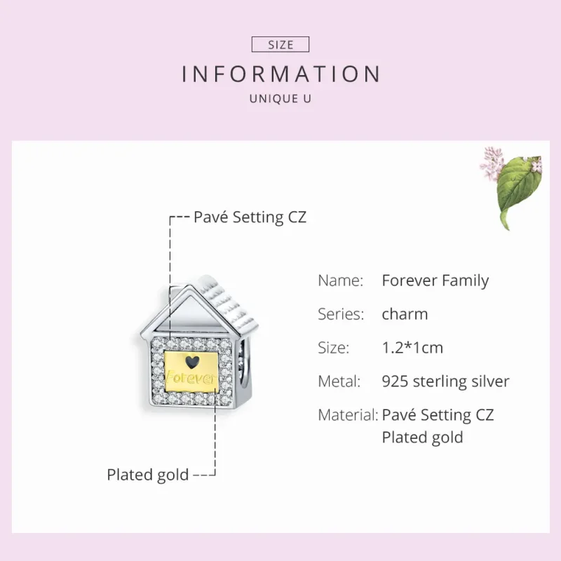 (image for) Two Tone Pandora Style Charm, Bicolor Forever Family - SCC1330 - View 7