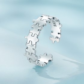 Pandora Style Puzzle Ring - SCR925