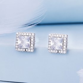 Pandora Style Light Luxury Stud Earrings - BSE895