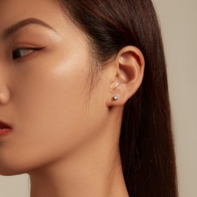 Pandora Style Shiny Zircon Stud Earrings - BSE615-4L