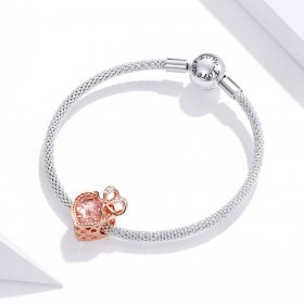 PANDORA Style Gift of Love Charm - BSC398