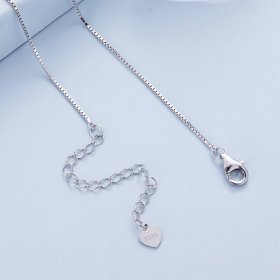 Pandora Style Infinity Symbol Necklace - BSN351