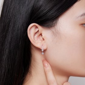 Pandora Style Exquisite Stone-Set Dangle Earrings - SCE1586