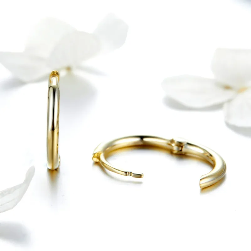 (image for) Gold-Plated Hoop Earrings - PANDORA Style - SCE558 - View 3