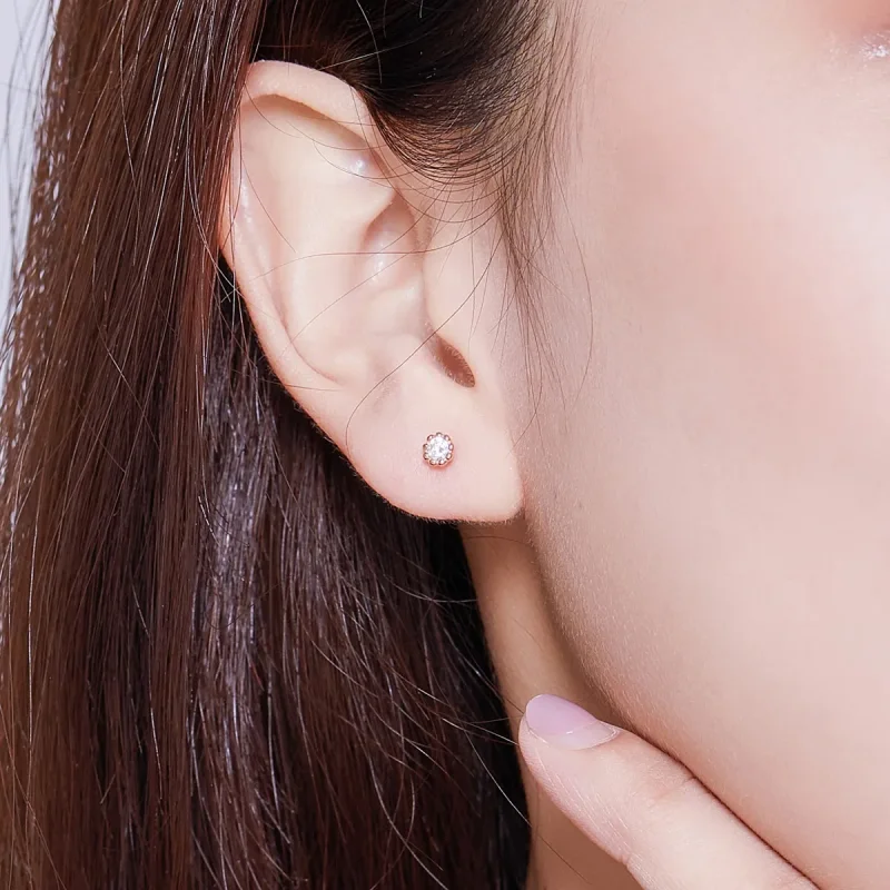 (image for) Pandora Style Rose Gold Stud Earrings, Gentle Shine - BSE219 - View 6