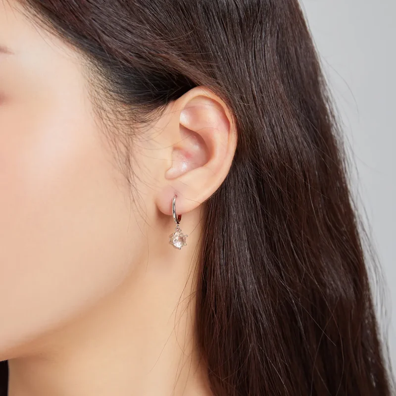 (image for) Pandora Style Silver Dangle Earrings, Cz - SCE1020-CG - View 4