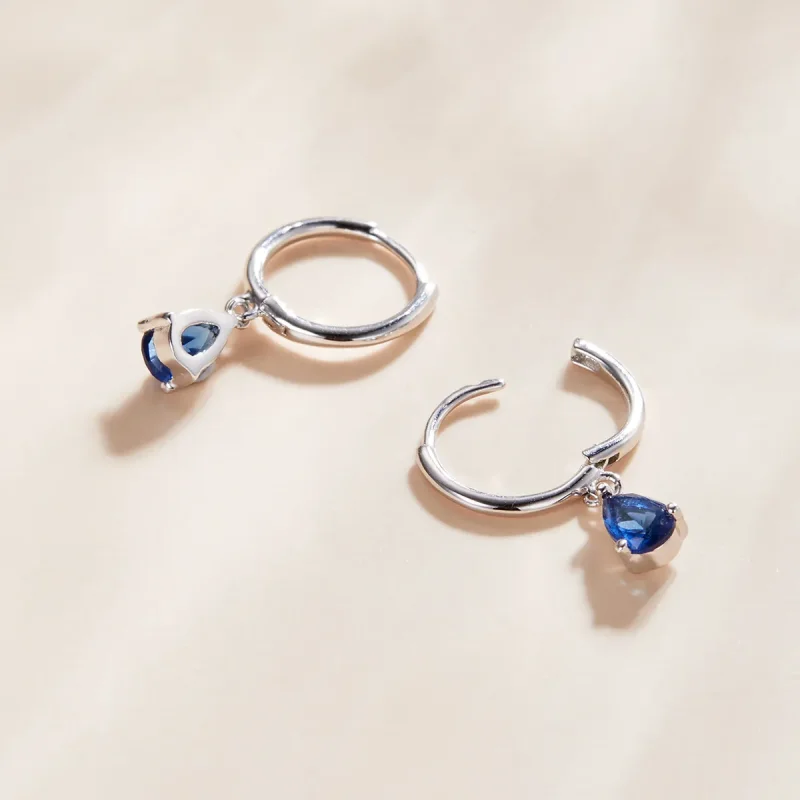 (image for) Pandora Style Silver Dangle Earrings, Drop - SCE1018-BU - View 3