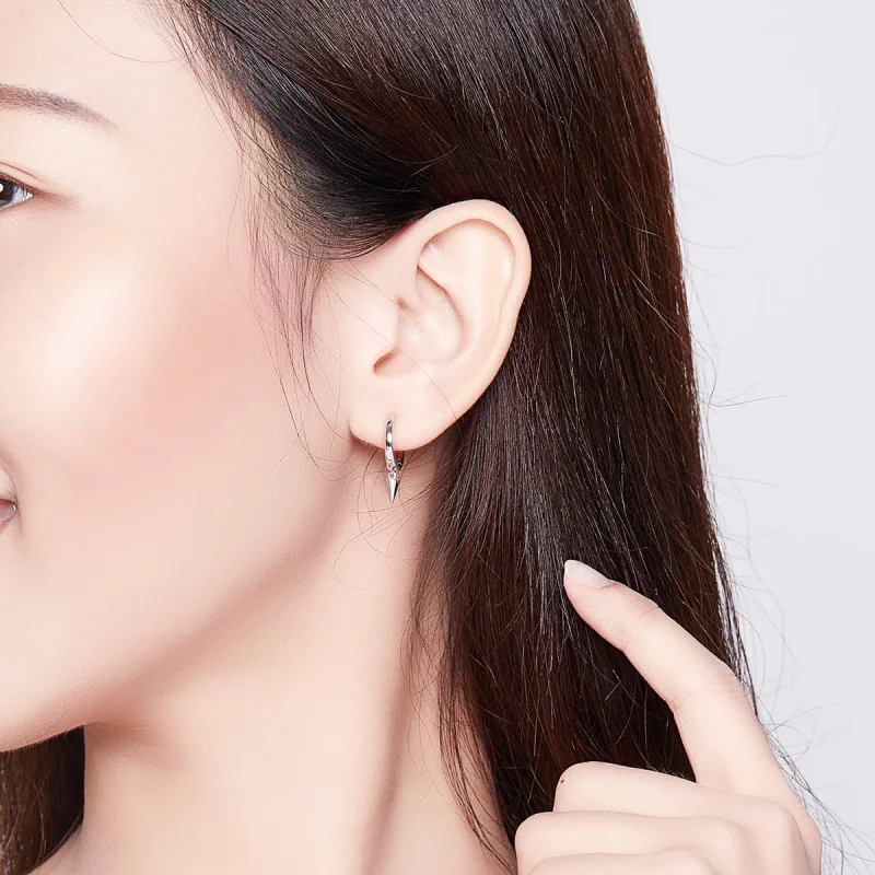 (image for) Pandora Style Silver Dangle Earrings, Geometry - SCE744 - View 5