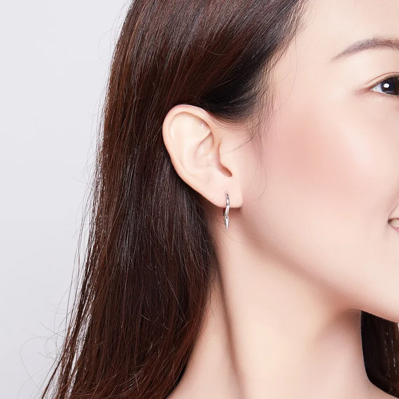 (image for) Pandora Style Silver Dangle Earrings, Geometry - SCE744 - View 6