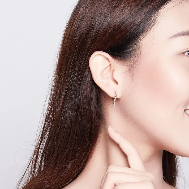 (image for) Pandora Style Silver Dangle Earrings, Geometry - SCE744 - View 7