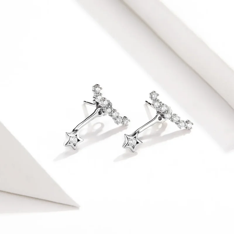 (image for) Pandora Style Silver Dangle Earrings, Reminiscences - BSE175 - View 2