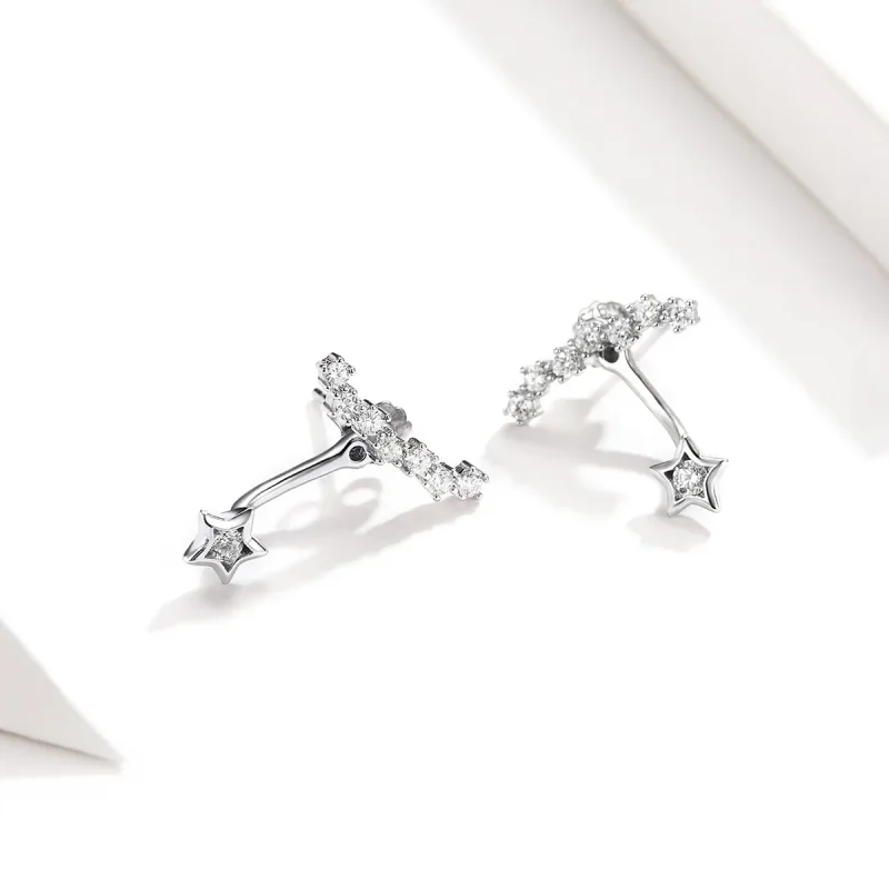 (image for) Pandora Style Silver Dangle Earrings, Reminiscences - BSE175 - View 3