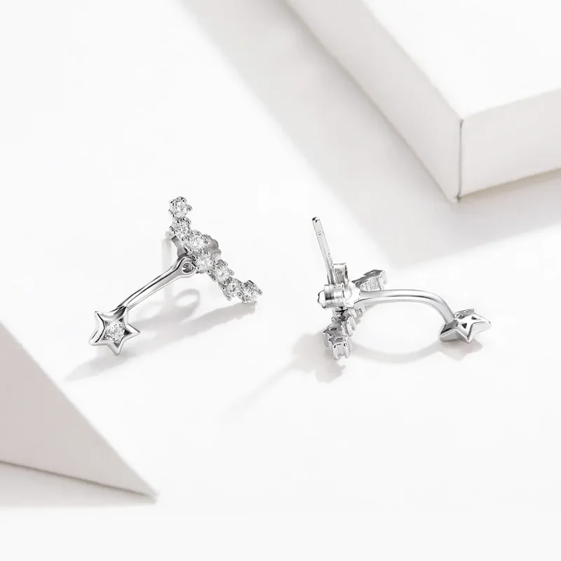 (image for) Pandora Style Silver Dangle Earrings, Reminiscences - BSE175 - View 4