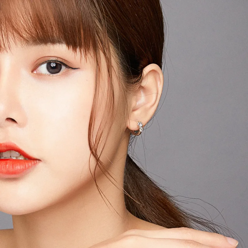 (image for) Pandora Style Silver Hoop Earrings, Cute Paw Print - SCE938 - View 5