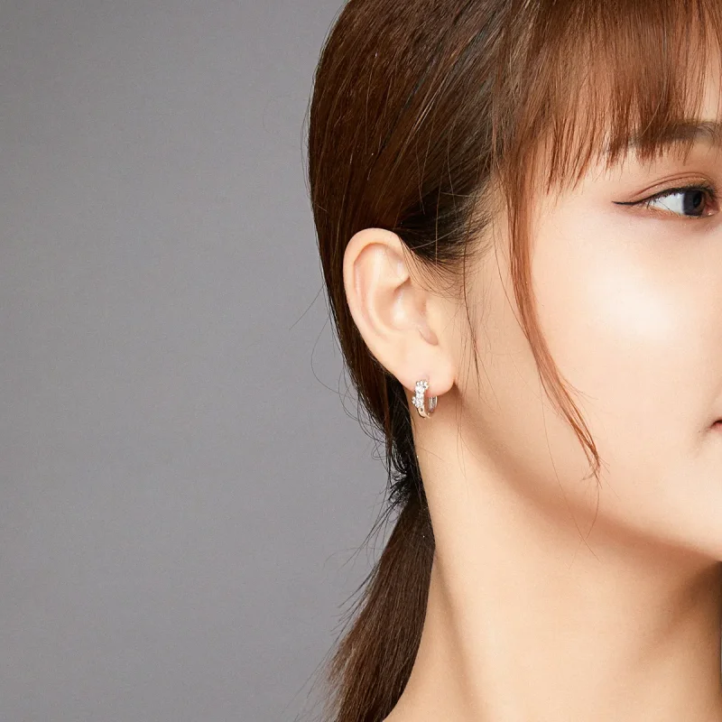 (image for) Pandora Style Silver Hoop Earrings, Cute Paw Print - SCE938 - View 6