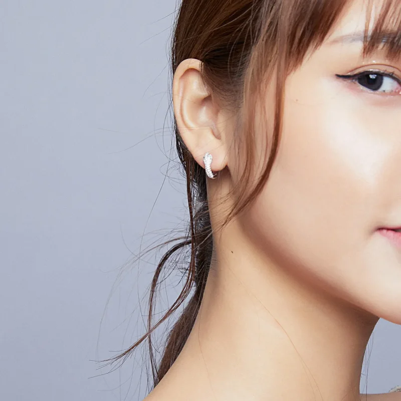 (image for) Pandora Style Silver Hoop Earrings, Lovely Snake - SCE922 - View 7