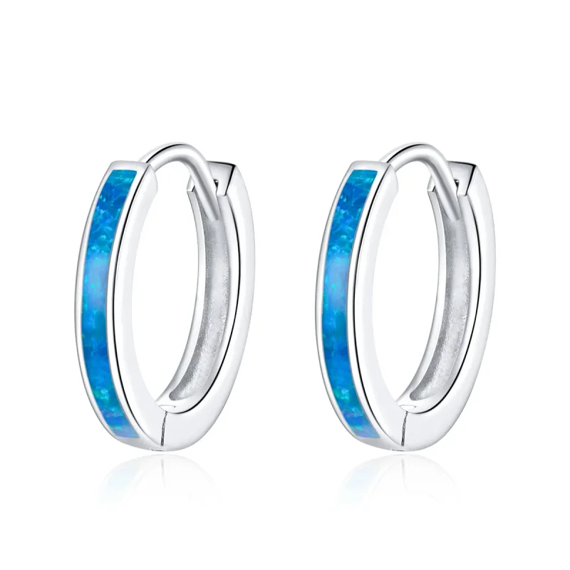 (image for) Pandora Style Silver Hoop Earrings - SCE992 - Product Image