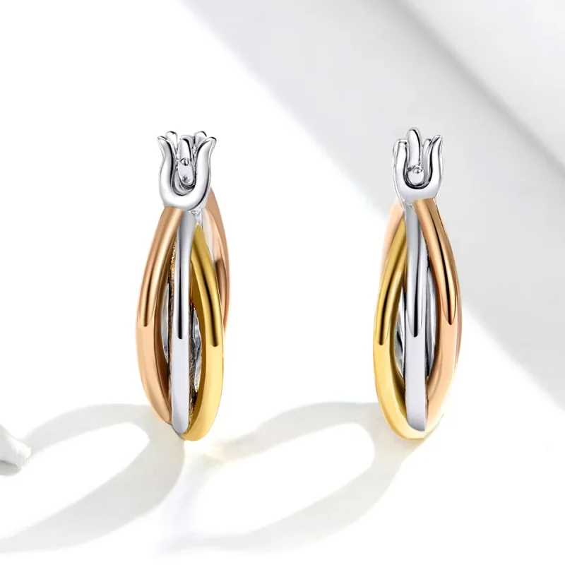 (image for) Pandora Style Silver Stud Earrings, Bicolor - SCE719 - View 3