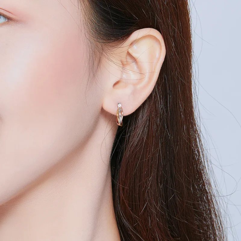 (image for) Pandora Style Silver Stud Earrings, Bicolor - SCE719 - View 6