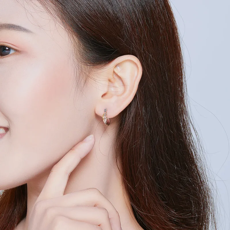 (image for) Pandora Style Silver Stud Earrings, Bicolor - SCE719 - View 7
