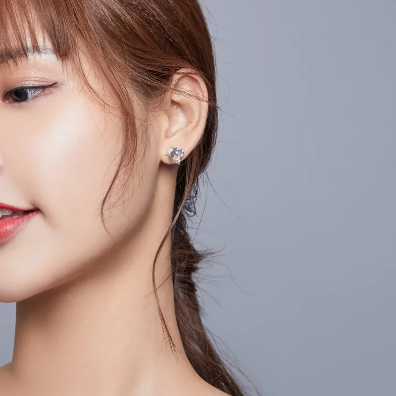 (image for) Pandora Style Silver Stud Earrings, Dolphin Elves - SCE930 - View 6