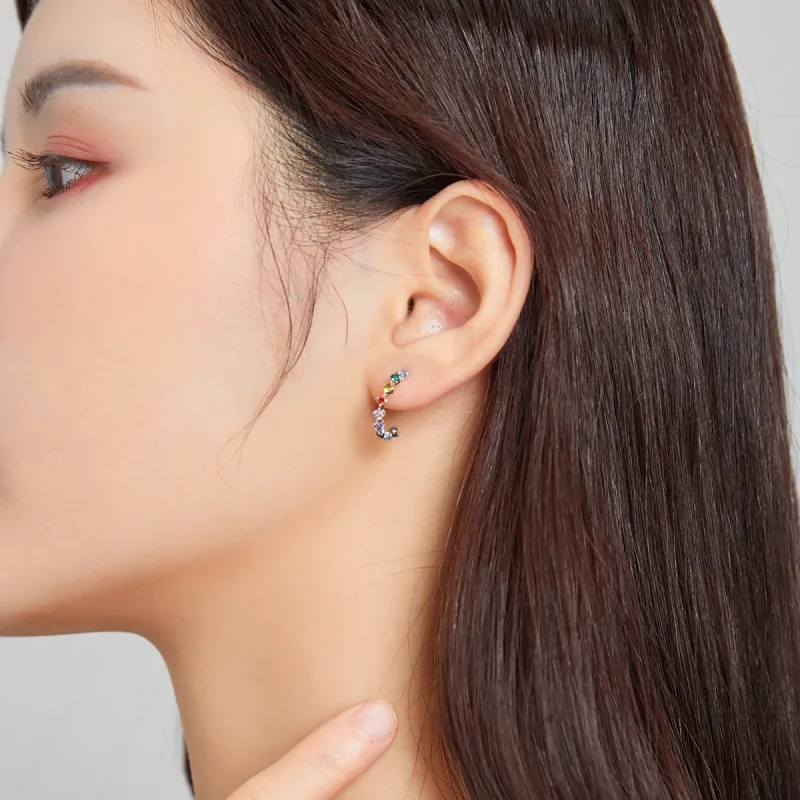 (image for) Pandora Style Silver Stud Earrings, Rainbow Words - SCE1014 - View 6