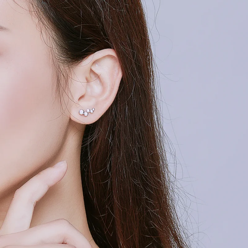 (image for) Pandora Style Silver Stud Earrings, Shiny Elegance - BSE235 - View 5