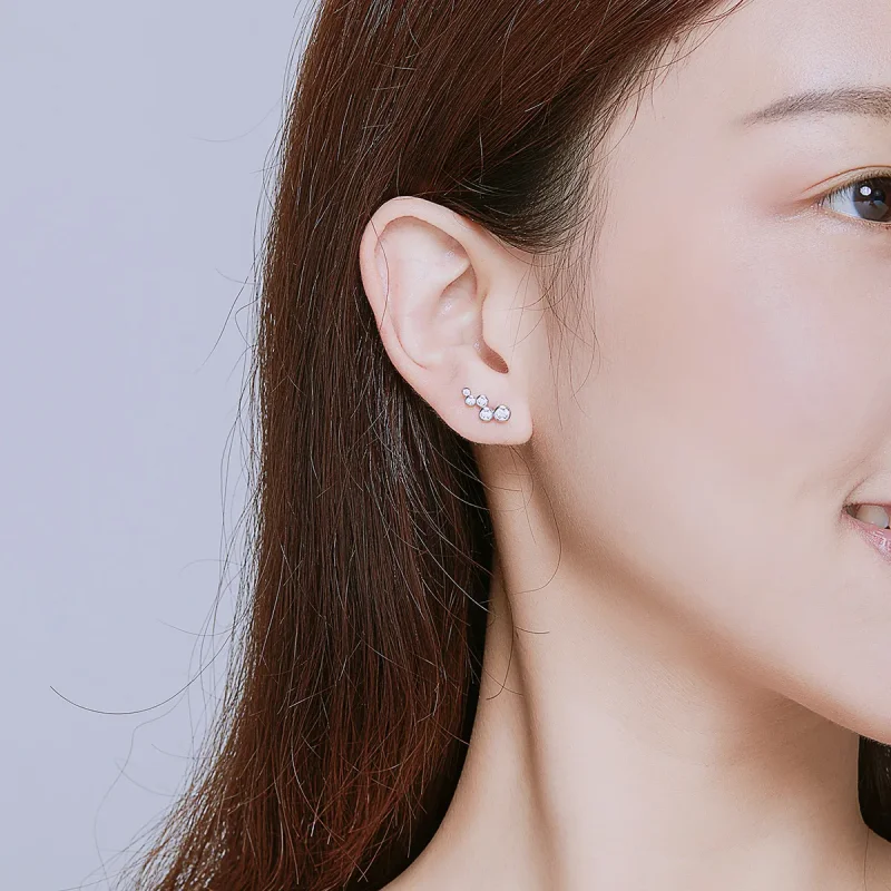 (image for) Pandora Style Silver Stud Earrings, Shiny Elegance - BSE235 - View 6