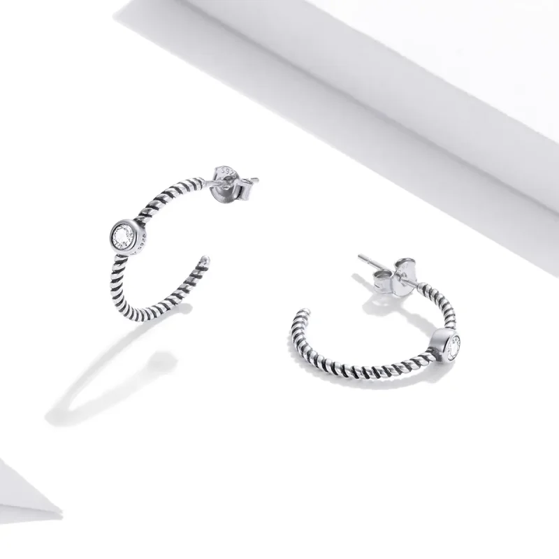 (image for) Pandora Style Silver Stud Earrings, Simple - SCE1122 - View 3