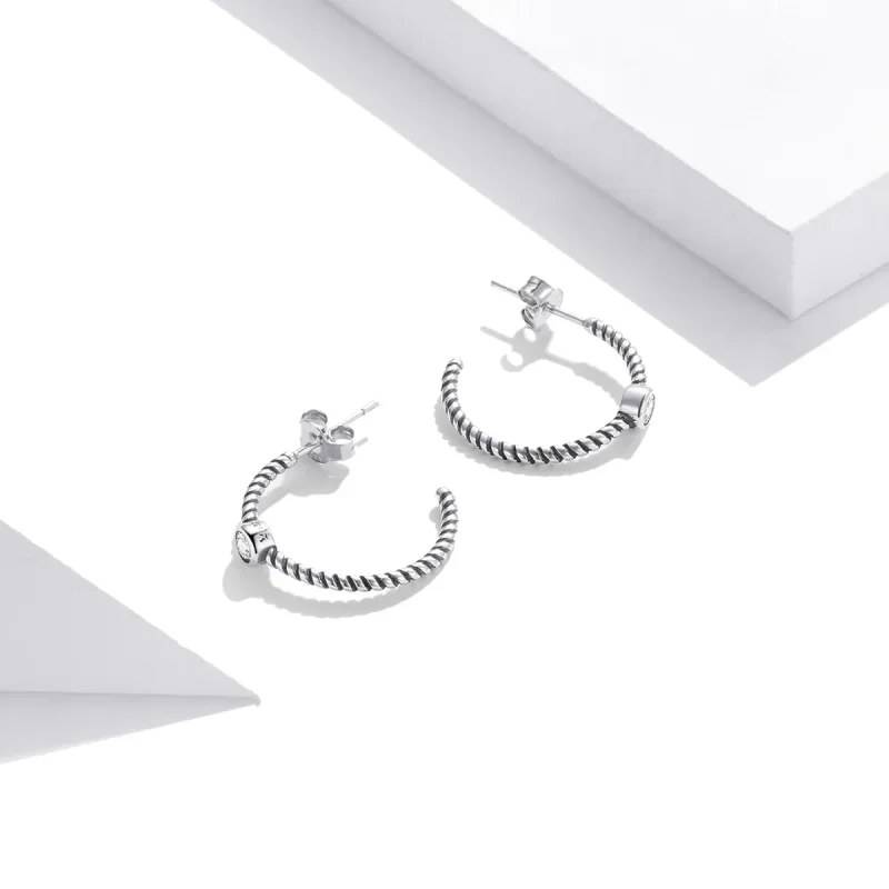 (image for) Pandora Style Silver Stud Earrings, Simple - SCE1122 - View 4