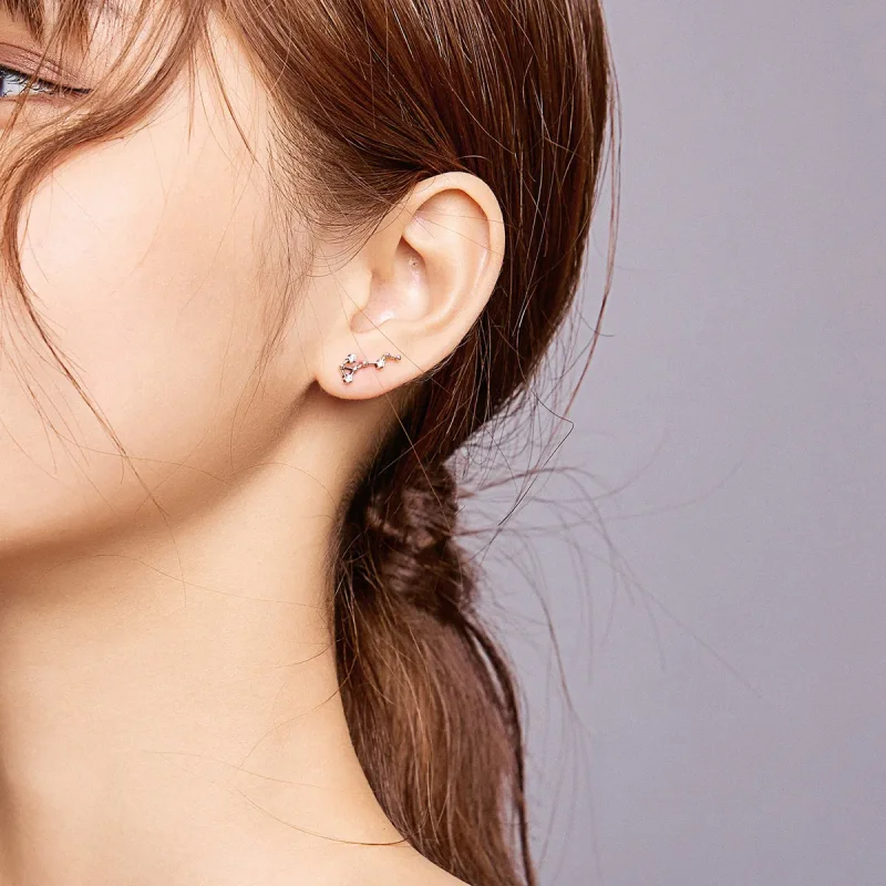 (image for) Pandora Style Silver Stud Earrings, Starry Sky - SCE912-8 - View 7