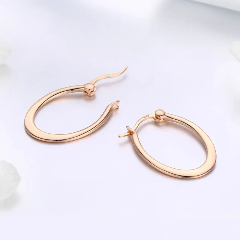 (image for) Rose Gold Hoop Earrings - PANDORA Style - SCE478 - View 4