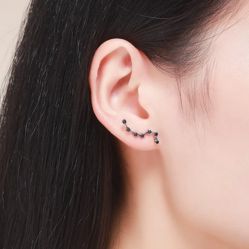 (image for) Silver Big Dipper Stud Earrings - PANDORA Style - SCE166 - View 6