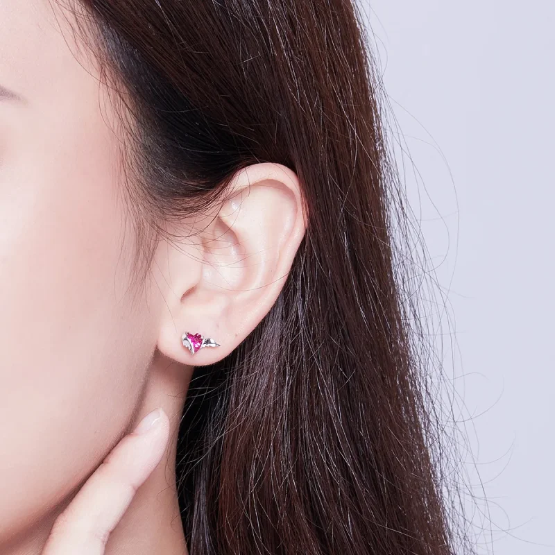 (image for) Silver Guardian Heart Stud Earrings - PANDORA Style - SCE690 - View 5