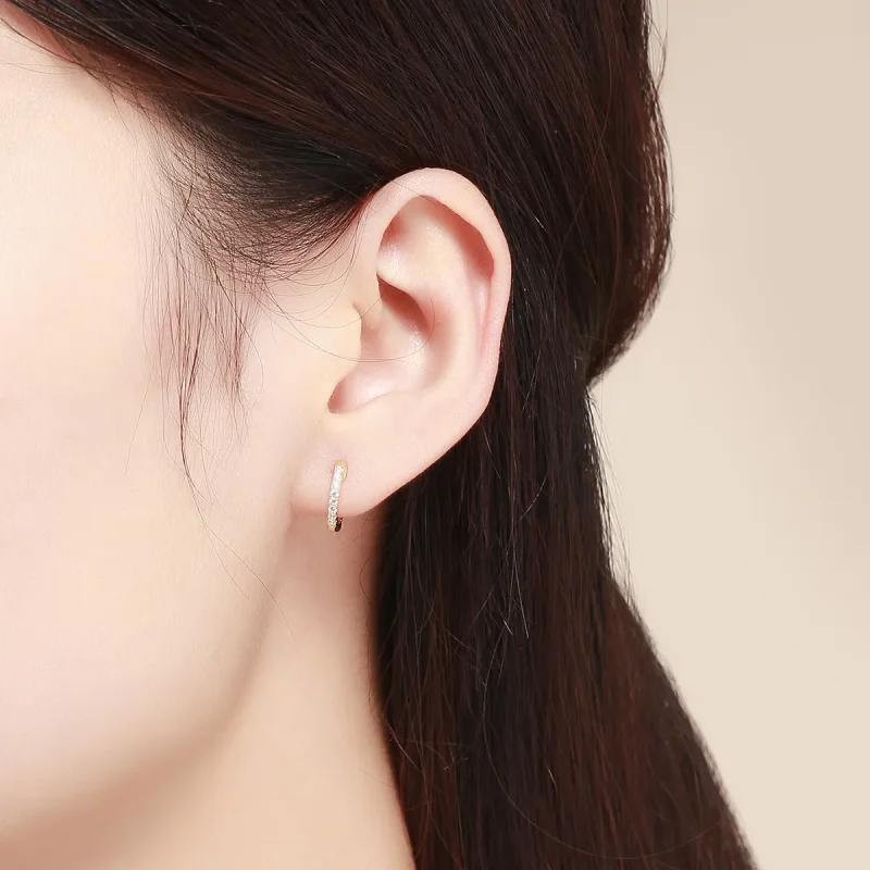 (image for) Silver Small Circle Hoop Earrings - PANDORA Style - SCE498 - View 4