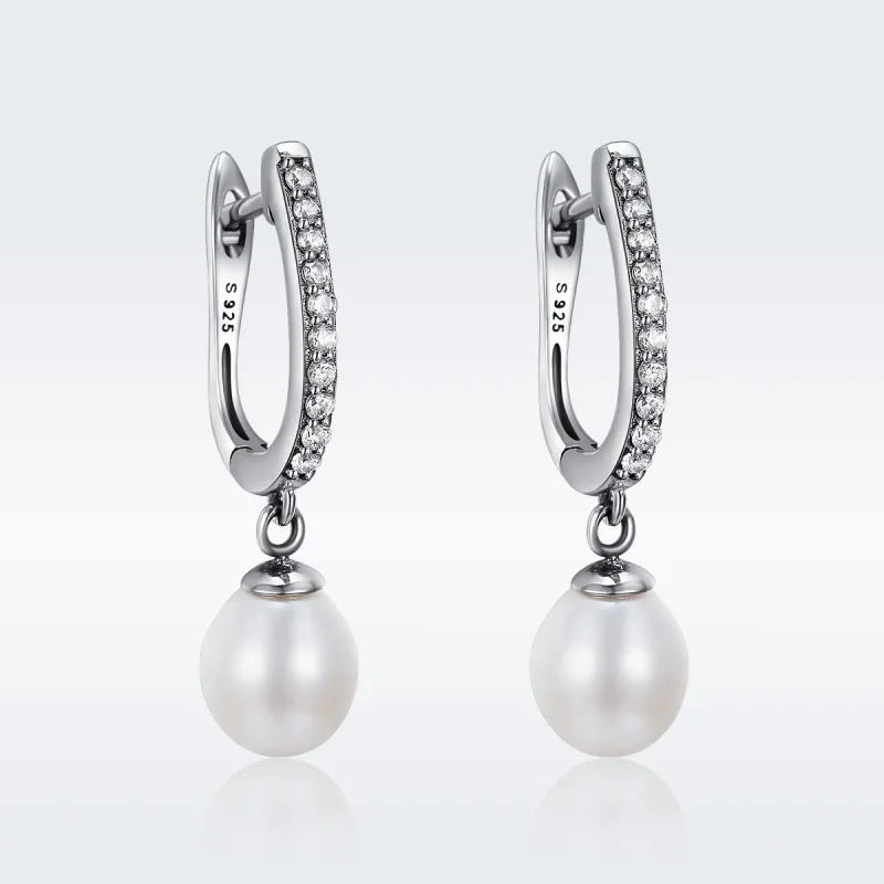 (image for) Silver Unique Charm Hanging Earrings - PANDORA Style - SCE194 - View 2