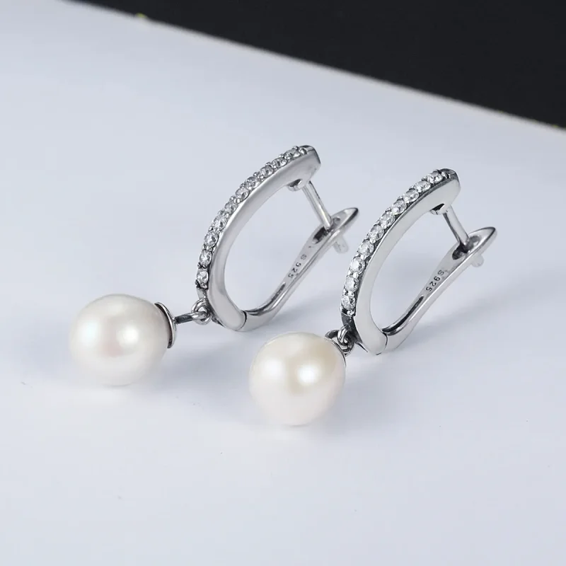 (image for) Silver Unique Charm Hanging Earrings - PANDORA Style - SCE194 - View 3