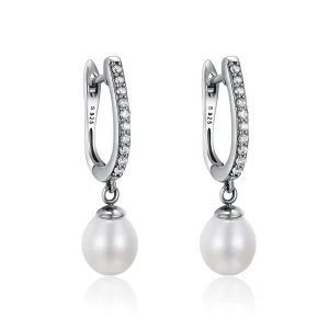 (image for) Silver Unique Charm Hanging Earrings - PANDORA Style - SCE194