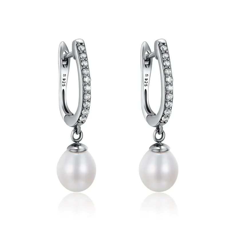 (image for) Silver Unique Charm Hanging Earrings - PANDORA Style - SCE194 - Product Image