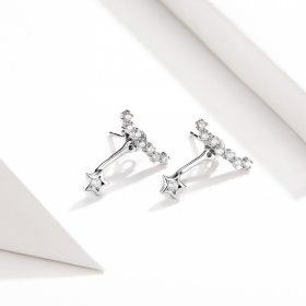 Pandora Style Silver Dangle Earrings, Reminiscences - BSE175