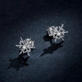 Pandora Style Silver Stud Earrings, Romantic Snowflakes - BSE424
