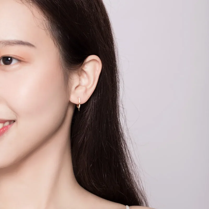 (image for) PANDORA Style Irregular Geometry Hoop Earrings - BSE168 - View 5